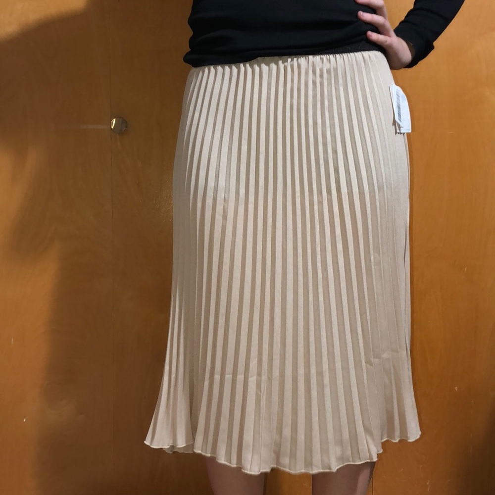 Lula roe Jill skirt